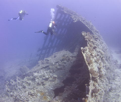 The Carnatic wreck at Sha`ab Abu Nuhas